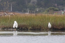 IMG_9843.jpg