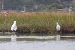 IMG_9844.jpg