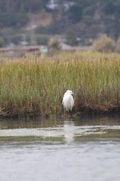 IMG_9846.jpg