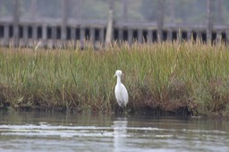 IMG_9861.jpg