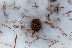 IMG_9911