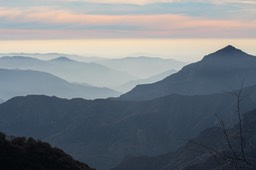 IMG_9944