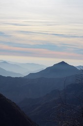 IMG_9954