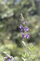 IMG_9955