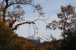 IMG_9964