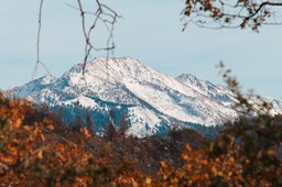 IMG_9967