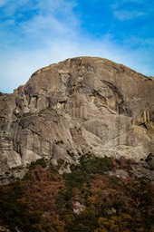 IMG_9969