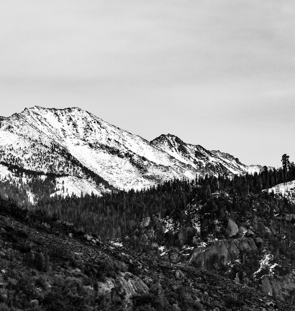 IMG_9974