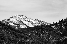 IMG_9974