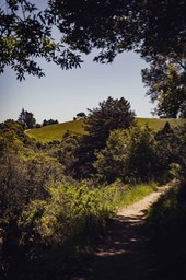 IMG_9981