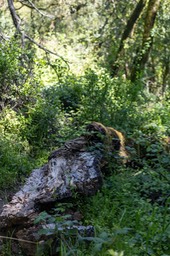 IMG_9987