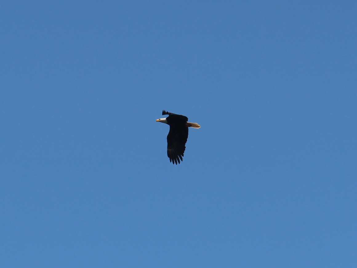 Nehalem12