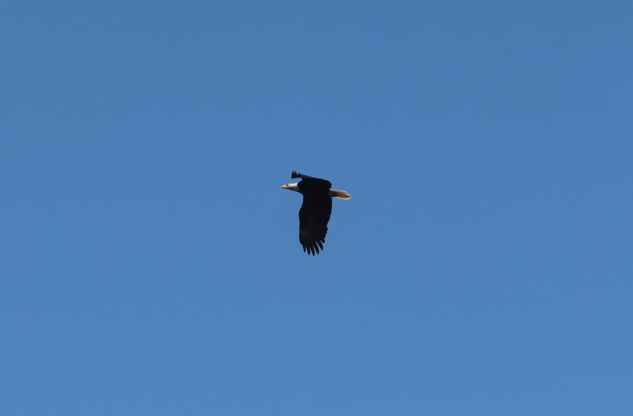Nehalem12