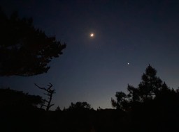 Nehalem19