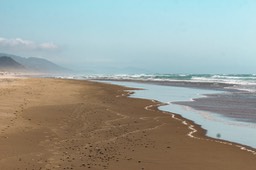 Nehalem1