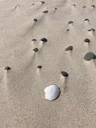 Nehalem22