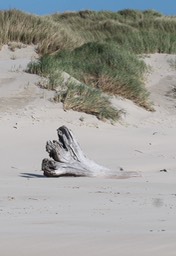 Nehalem3