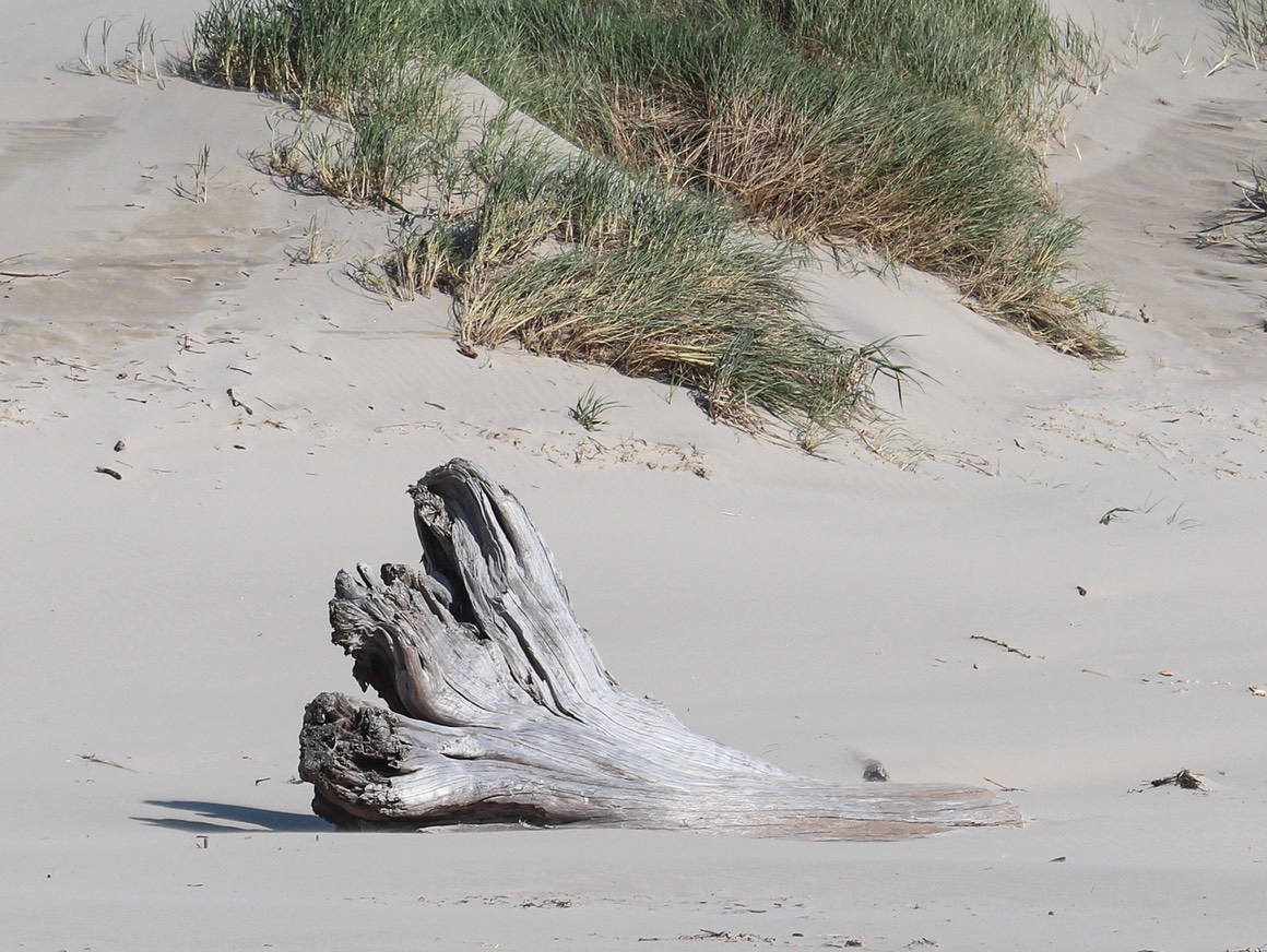 Nehalem3