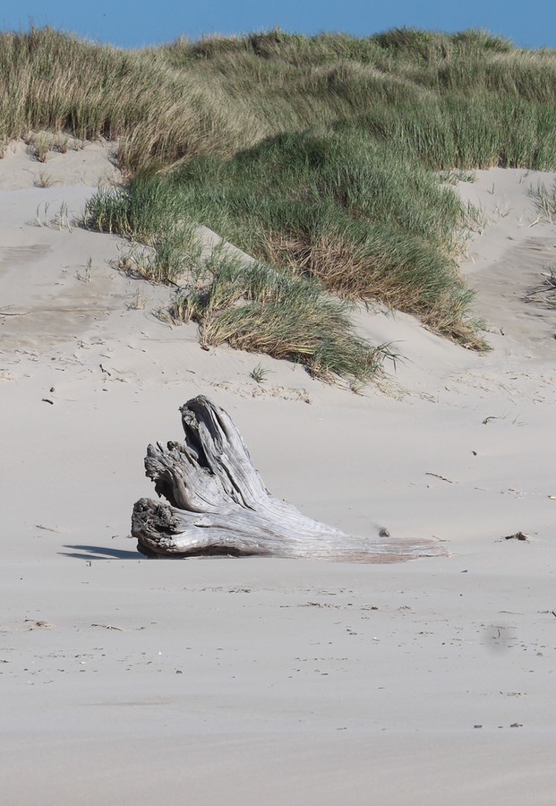 Nehalem3