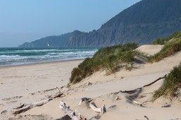 Nehalem5