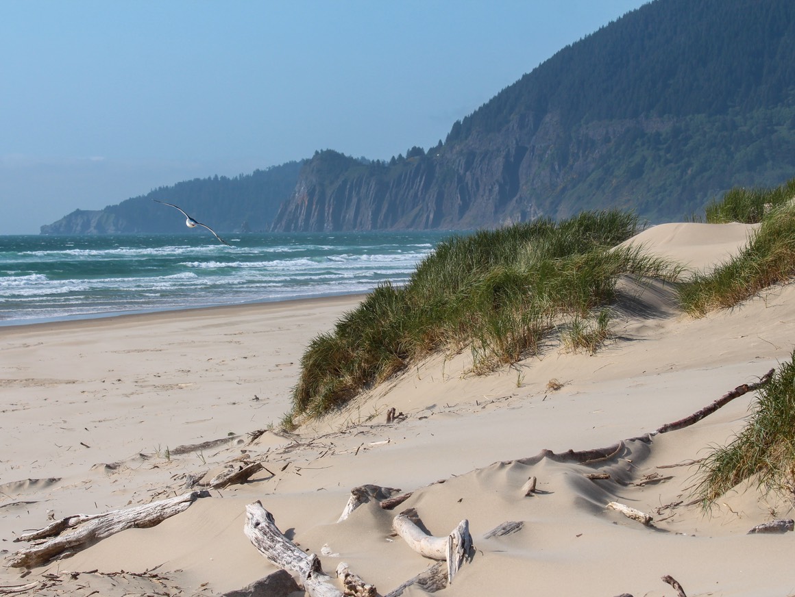 Nehalem5