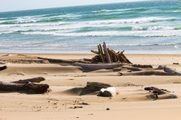 Nehalem6