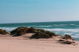 Nehalem7
