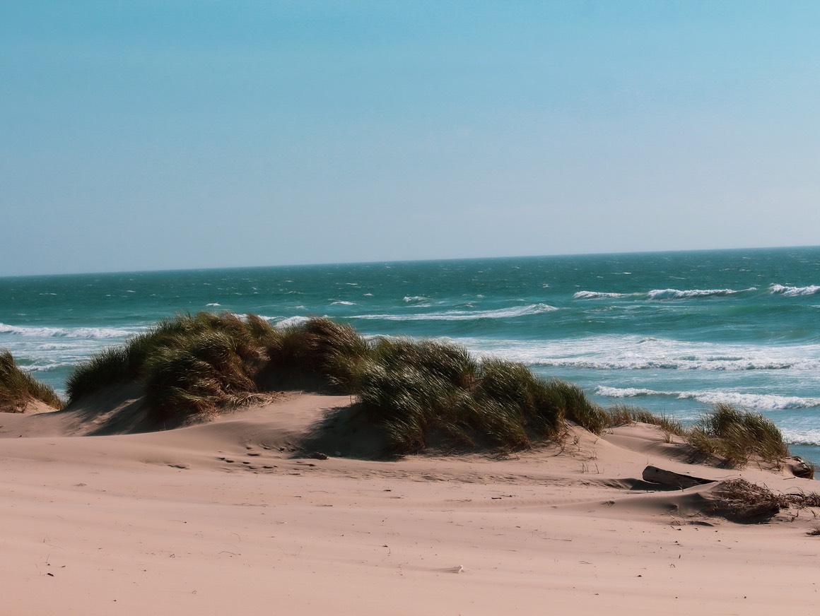 Nehalem7