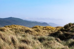 Nehalem8