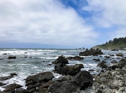 PatricksPoint48