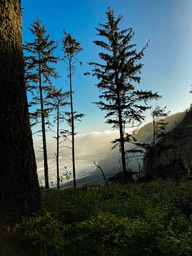 PatricksPoint56