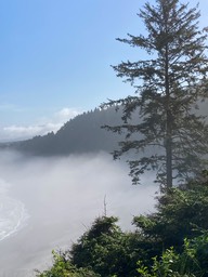 PatricksPoint61