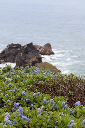 PatricksPoint7