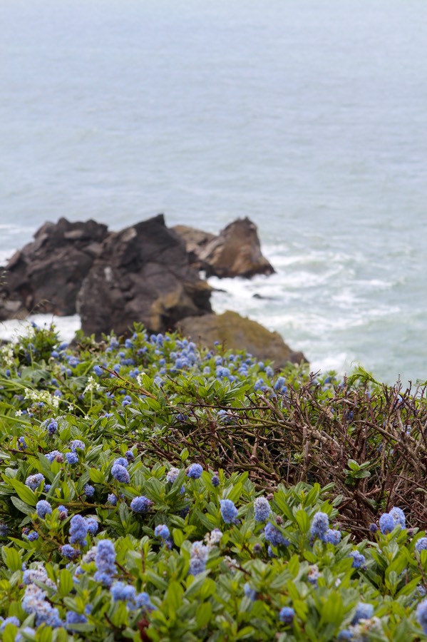 PatricksPoint7