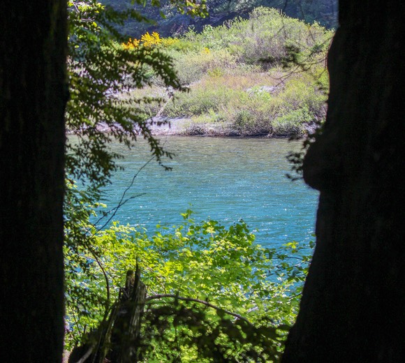 SmithRiver16