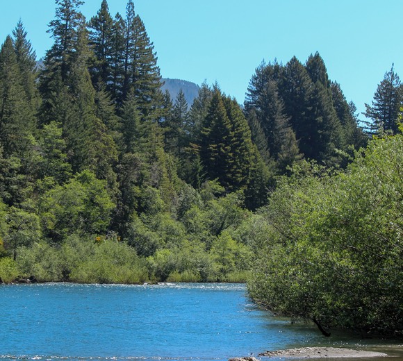 SmithRiver9