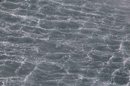 IMG_6798