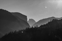 IMG_3942
