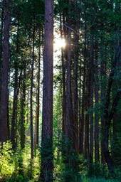 IMG_3957