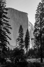 IMG_3959