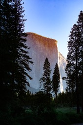 IMG_3960