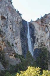 IMG_3987