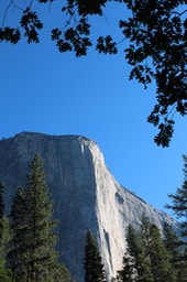 IMG_4010