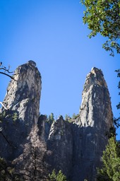 IMG_4020