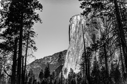 IMG_4031-2