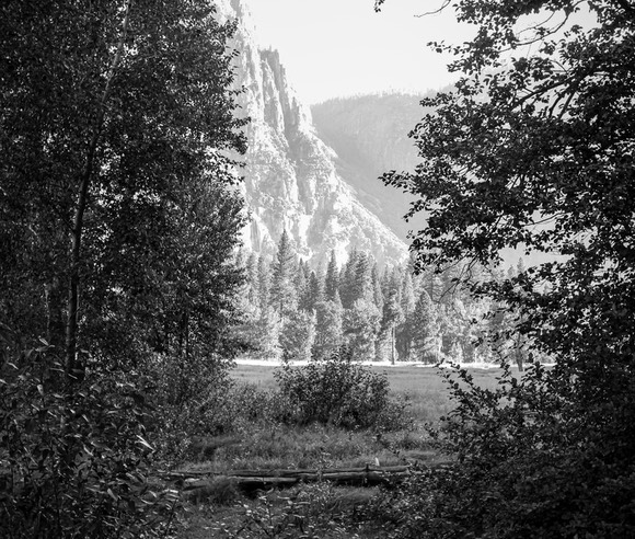 IMG_4046