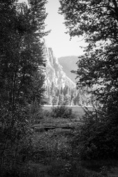 IMG_4046