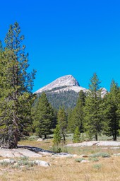 IMG_4275