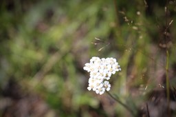 IMG_4277