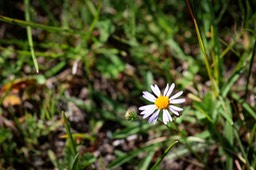 IMG_4279